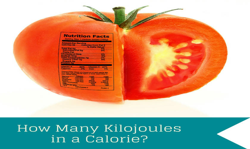 how-many-kilojoules-in-a-calorie