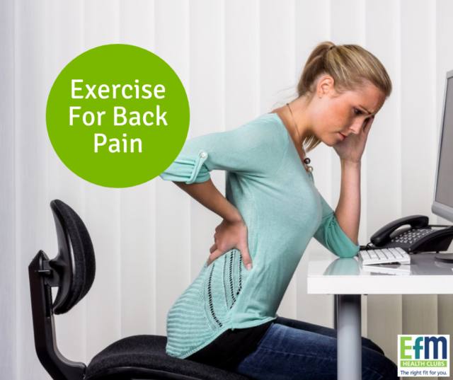 How Exercise Helps Reduce Back Pain EFM Health Clubs