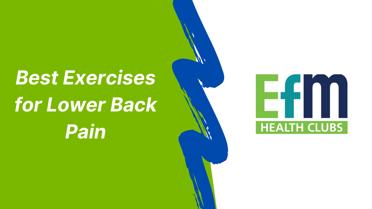 the-best-exercises-for-lower-back-pain-updated-2023-guide-efm